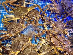 -驻海渔市(置信店)