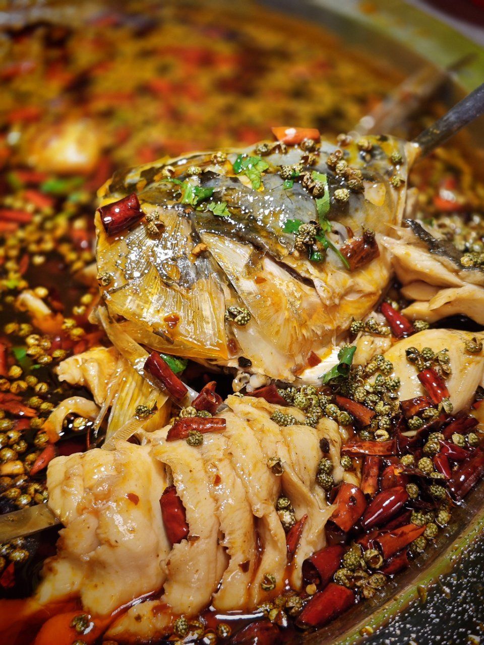 成都超燃麻辣鱼火锅 | 一口爱上川渝味!