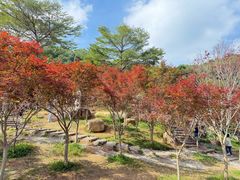 -广州市帽峰山景区