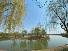-东郊湿地公园