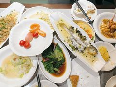 -老绍兴养和饭店(向阳不夜城店)