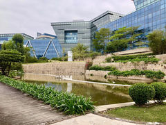 -香港大学