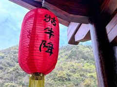 -石台牯牛降景区