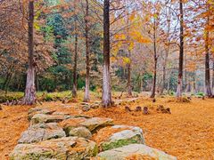 -南京市无想山景区