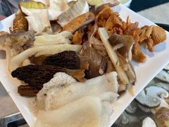 -蘑统田下·野生菌火锅