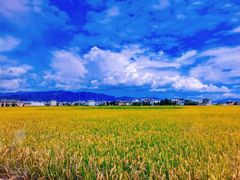 -云南野生动物园