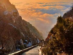 -泰山花样年华景区