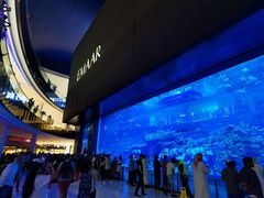 -迪拜水族馆及水下动物园
