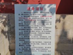 -遵化市禅林寺古银杏风景园