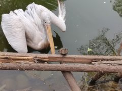 -济南野生动物世界