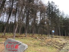 -硗碛藏寨·神木垒景区