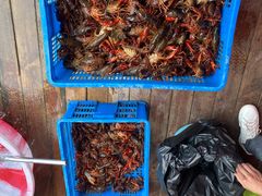 -庾氏龙虾馆(多弗汇店)