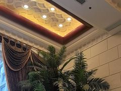 -水之梦(黄浦店)