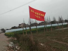 -喜杨洋草莓采摘园