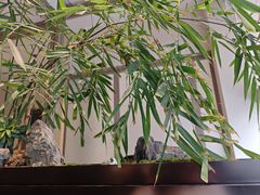 -俏立方·15年新楚菜