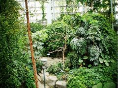 iphone_upload_pic-郑州植物园