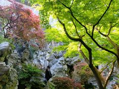 -胡雪岩故居