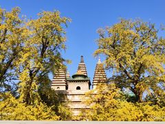 -北京石刻艺术博物馆(五塔寺)