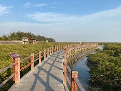 -北海金海湾红树林生态旅游区