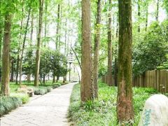 -天明山温泉大酒店