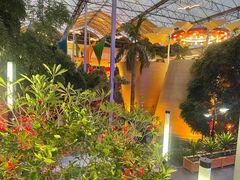 -北国之春国宴(乌兰察布店)