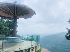 -铁山坪森林公园