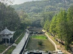 -白水寺森林公园
