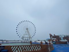 -秦皇岛乐岛海洋王国