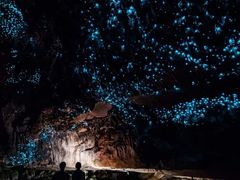 -怀托摩萤火虫洞