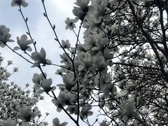 -睦南公园