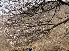 -水峪民俗村