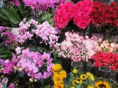 -绿地风尚天地广场