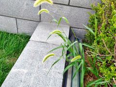 -皇城恒隆广场