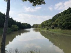 -上海海湾国家森林公园