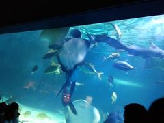 -常州海昌海洋探索馆