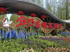 -东平国家森林公园