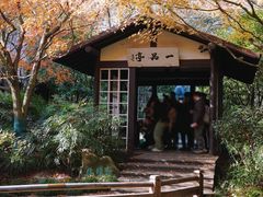-中国茶叶博物馆(双峰馆区)
