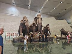 -大庆市博物馆