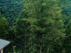 -本溪关山湖风景区