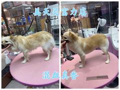 -FAELING PETS美天灵宠物(富力广场店)