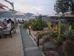 -Brew Farm·精酿农场海滨悬崖餐厅