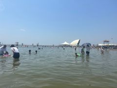 -碧海金沙