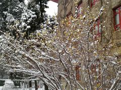 -陕西师范大学(雁塔校区)