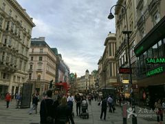 -斯蒂芬主教座堂(Stephansdom)