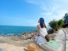 -广东惠东海龟国家级自然保护区