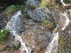 -大余丫山旅游度假区