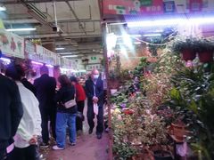 -花鸟鱼虫鲜花绿植市场(玉泉路店)