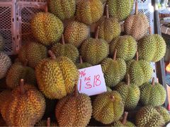 iphone_upload_pic-芽笼