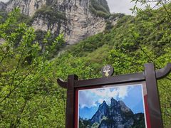 -鹿院坪生态旅游景区
