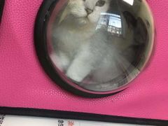 -美联众合动物医院·24h京西诊疗中心